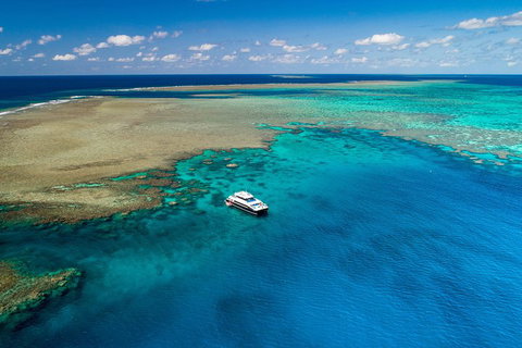 Calypso Outer Great Barrier Reef Cruise From Port Douglas - Attractions Brisbane 1