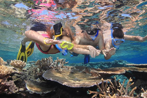 Calypso Outer Great Barrier Reef Cruise From Port Douglas - Attractions Brisbane 3
