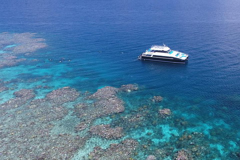 Calypso Outer Great Barrier Reef Cruise From Port Douglas - Attractions Brisbane 4