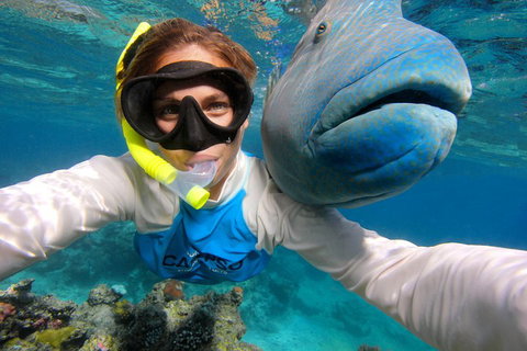 Calypso Outer Great Barrier Reef Cruise From Port Douglas - Attractions Brisbane 5