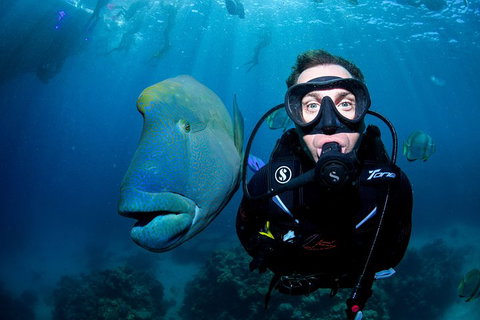 Full Day Reef Cruise Including 10 Minute Heli Scenic Flight: Get High Package - Attractions Brisbane 1