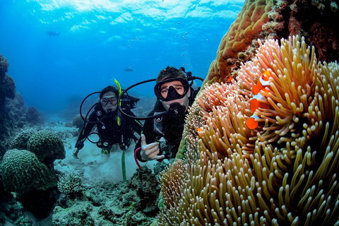 Full Day Reef Cruise Including 10 Minute Heli Scenic Flight: Get High Package - Attractions Brisbane 5