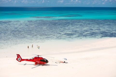 Private Helicopter Tour: Reef Island Snorkeling And Gourmet Picnic Lunch - Attractions Brisbane 2