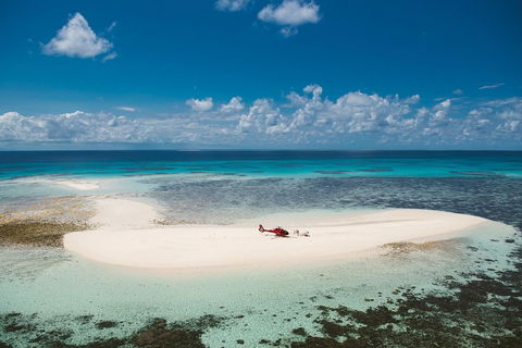 Private Helicopter Tour: Reef Island Snorkeling And Gourmet Picnic Lunch - Attractions Brisbane 4