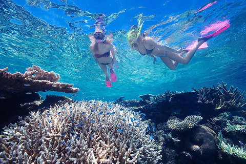 Great Barrier Reef Scenic Helicopter Tour And Cruise From Cairns - Attractions Brisbane 3