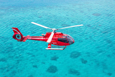 Cruise To Moore Reef Pontoon And Return Helicopter Flight From Cairns - Attractions Brisbane 1