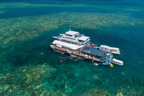 Cruise To Moore Reef Pontoon And Return Helicopter Flight From Cairns - Attractions Brisbane 2
