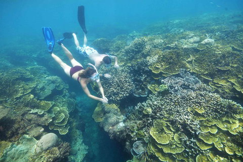 Cruise To Moore Reef Pontoon And Return Helicopter Flight From Cairns - Attractions Brisbane 3