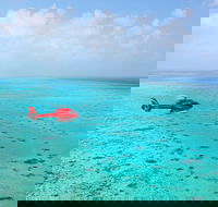 Port Douglas Scenic Flights - Attractions Brisbane