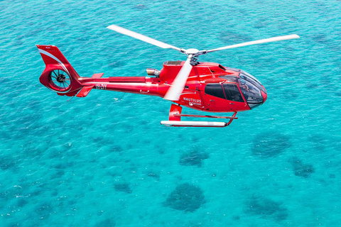 Port Douglas Scenic Flights - Attractions Brisbane 2