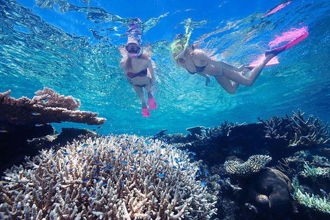 Cruise Out And Cruise Return, Plus 10 Minute Scenic Flight - Attractions Brisbane 5