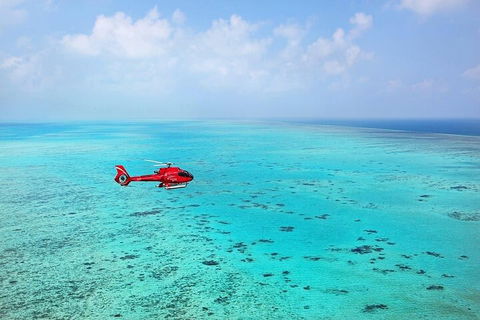 Ultimate Great Barrier Reef And Rainforest 45-minute Helicopter Tour - Attractions Brisbane 2