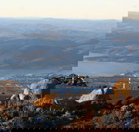 Mt. Wellington Bonorong and Richmond Day Tour from Hobart - Attractions Brisbane