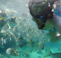 2-Day Moreton Island 4WD Camping Tour from Brisbane - Attractions Brisbane