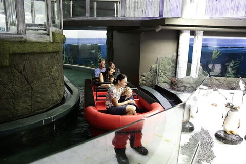 Sydney Attractions Pass: SEA LIFE Aquarium, Sydney Tower Eye, WILD LIFE Zoo And Madame Tussauds - Attractions Brisbane 0