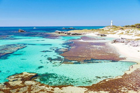 Fremantle To Rottnest Island Roundtrip Ferry Ticket - Attractions Brisbane 2