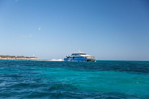 Fremantle To Rottnest Island Roundtrip Ferry Ticket - Attractions Brisbane 5