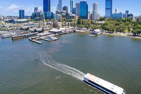 Summer Lunch Cruise - Attractions Brisbane 2