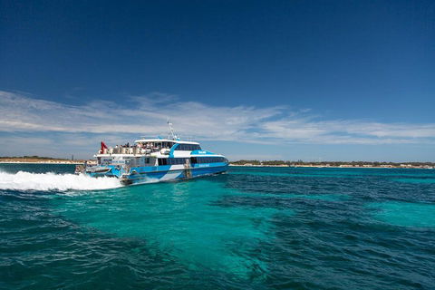 Perth To Rottnest Island Roundtrip Ferry Ticket - Attractions Brisbane 4