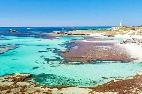 Rottnest Island Bayseeker Day Trip From Perth - Attractions Brisbane 4
