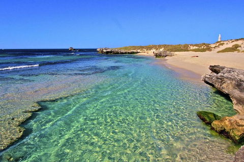Rottnest Island Bayseeker Day Trip From Perth - Attractions Brisbane 5