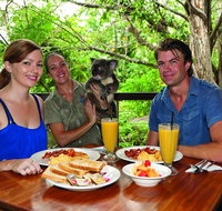 Breakfast with the Koalas at Hartley's Crocodile Park from Cairns or Palm Cove - Attractions Brisbane