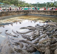 Hartley's Crocodile Adventures Day Trip from Cairns - Attractions Brisbane