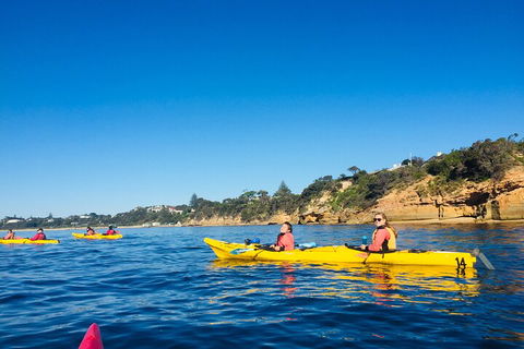 Mornington Peninsula Kayak Coastline Tour Of Dolphin Sanctuary - Attractions Brisbane 1