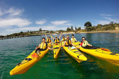 Mornington Peninsula Kayak Coastline Tour Of Dolphin Sanctuary - Attractions Brisbane 2