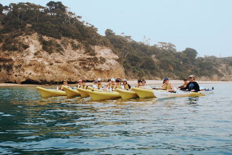 Mornington Peninsula Kayak Coastline Tour Of Dolphin Sanctuary - Attractions Brisbane 4