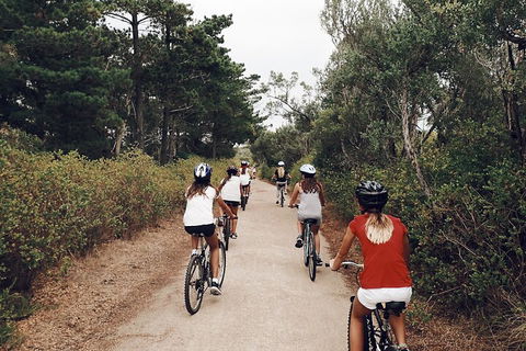 Self-Guided Point Nepean National Park Bike Hire - Attractions Brisbane 3