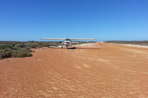 Abrolhos Islands Scenic Flight & Snorkel Adventure From Perth - Attractions Brisbane 3