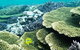Abrolhos Islands Scenic Flight & Snorkel Adventure From Perth - thumb 4