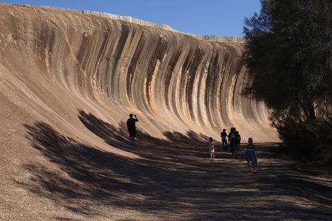 Wave Rock, Pinnacles And Rottnest One Day Aeroplane Tour - Attractions Brisbane 4