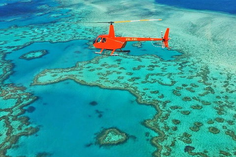 Reef & Whitehaven Landing - Attractions Brisbane 4