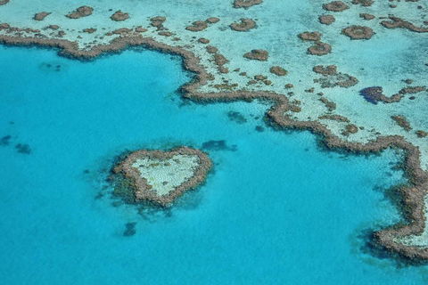 Reef And Island Scenic Flight From Airlie Beach - Attractions Brisbane 5