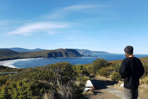 Small-Group Day Trip From Hobart To Bruny Island - Attractions Brisbane 0