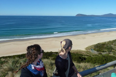 Small-Group Day Trip From Hobart To Bruny Island - Attractions Brisbane 3