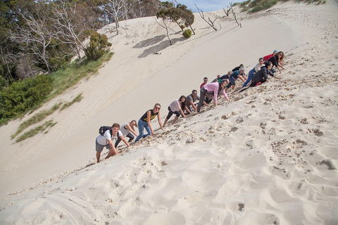 6-Day Tasmanian Explorer Adventure Tour From Hobart - Attractions Brisbane 2