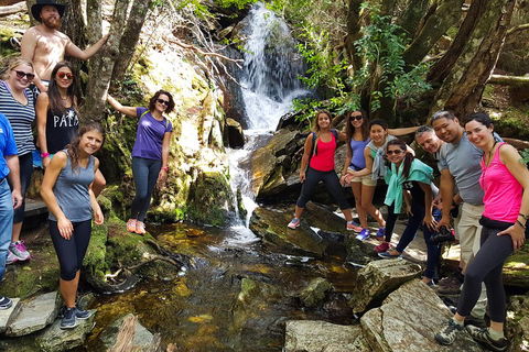 7-Day Super Value Tour Of Tasmania: Explore Tasmania's West And East Coasts - Attractions Brisbane 2
