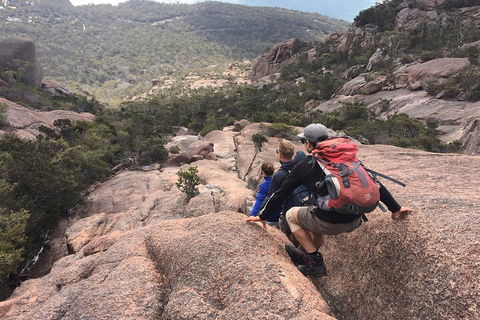 2-Day Tas East Coast Escape Tour Including Bay Of Fires, Wineglass Bay & Devils - Attractions Brisbane 2