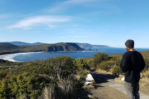 4-Day Fabulous Tasmania Tour: Wineglass Bay, Port Arthur, Devils & Bruny Island - Attractions Brisbane 0