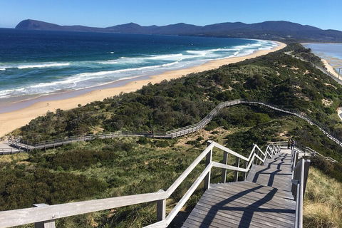 4-Day Fabulous Tasmania Tour: Wineglass Bay, Port Arthur, Devils & Bruny Island - Attractions Brisbane 5