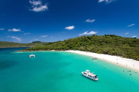 Whitehaven Beach And Hill Inlet | Awesome Beach BBQ | Family Friendly - Attractions Brisbane 3