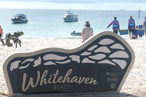 Whitehaven Beach And Hill Inlet | Awesome Beach BBQ | Family Friendly - Attractions Brisbane 5