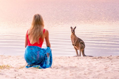 Serenity Cruise To Australia's Everglades - Attractions Brisbane 3