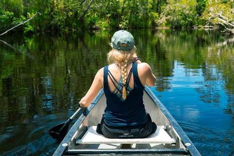 Cruise 'n' Canoe To Australia's Everglades - Attractions Brisbane 0