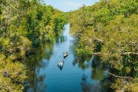 Cruise 'n' Canoe To Australia's Everglades - Attractions Brisbane 3