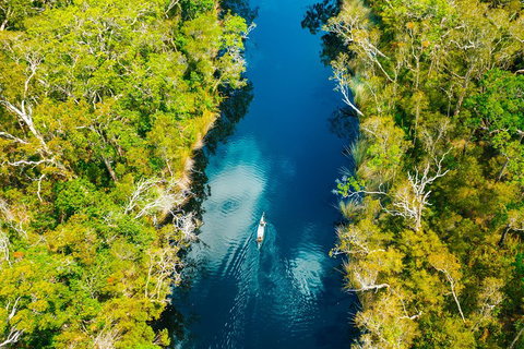 Cruise 'n' Canoe To Australia's Everglades - Attractions Brisbane 4