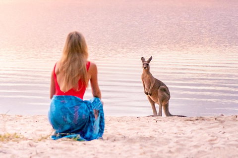 Cruise 'n' Canoe To Australia's Everglades - Attractions Brisbane 5